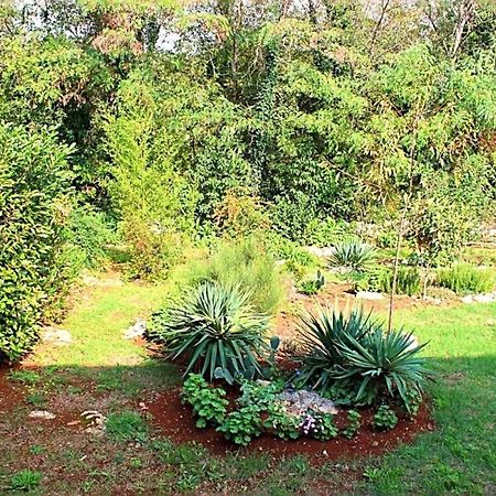 Jelena Apartment Porec Bagian luar foto