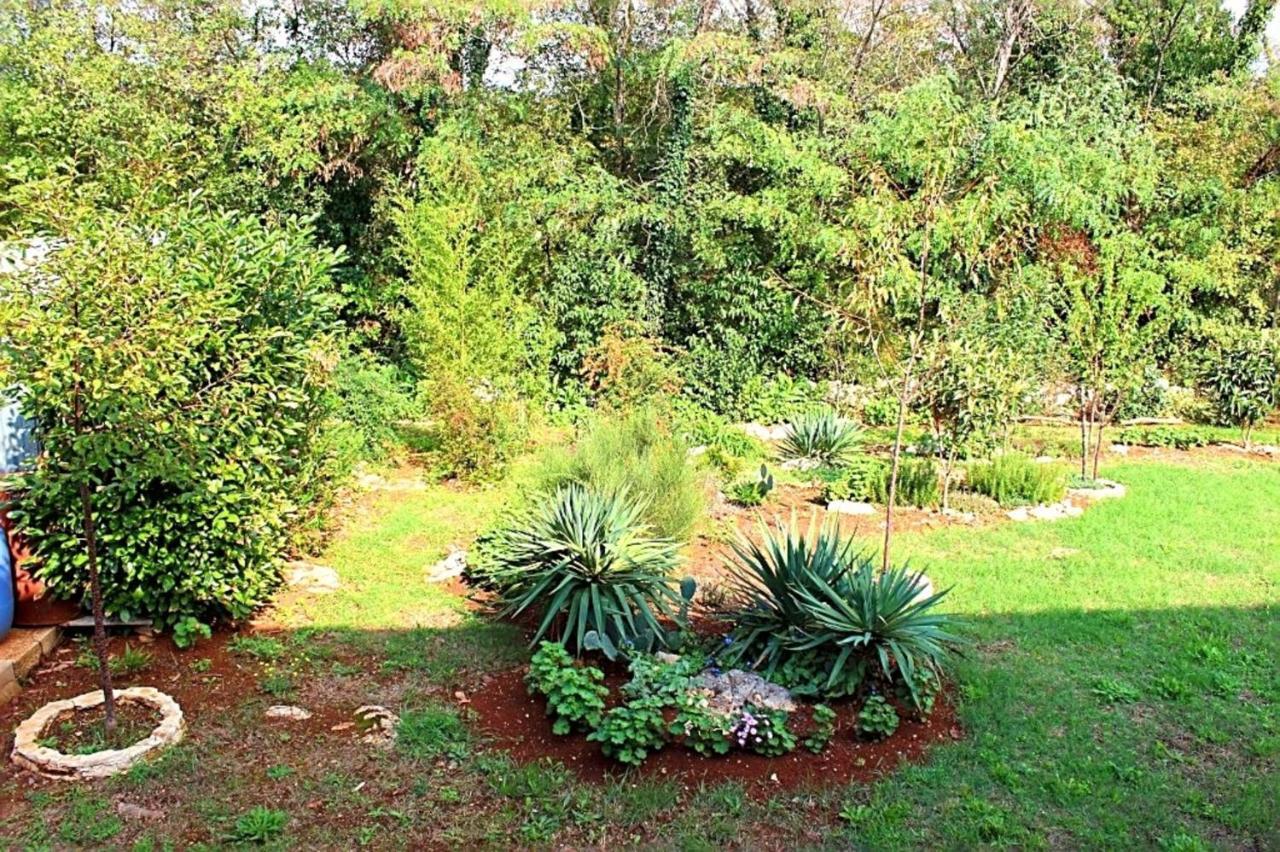 Jelena Apartment Porec Bagian luar foto